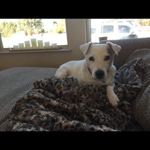 Meet your Posher, Rosemary